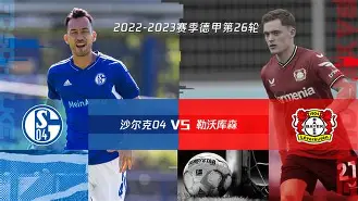 沙尔克04和多特蒙德为什么是死敌关系